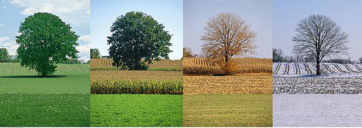 《僵尸世界大战》开发商可能已被母公司完成出售